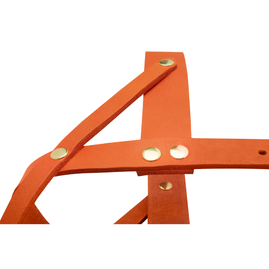 Butter Leather Dog Harness - Mango by Molly And Stitch US