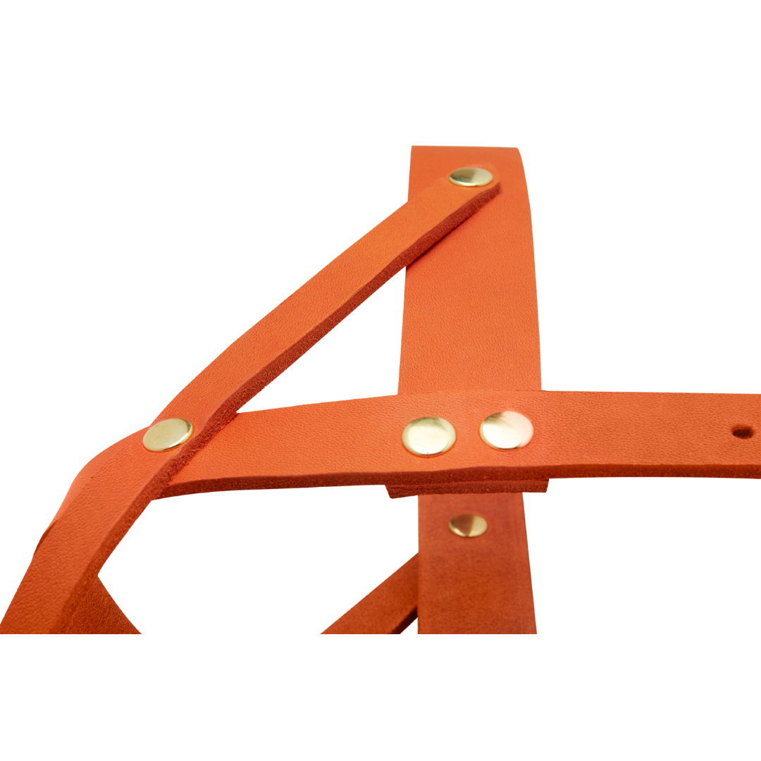 Butter Leather Dog Harness - Mango by Molly And Stitch US