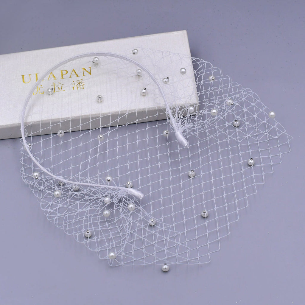 white white pearl mesh birdcage veil