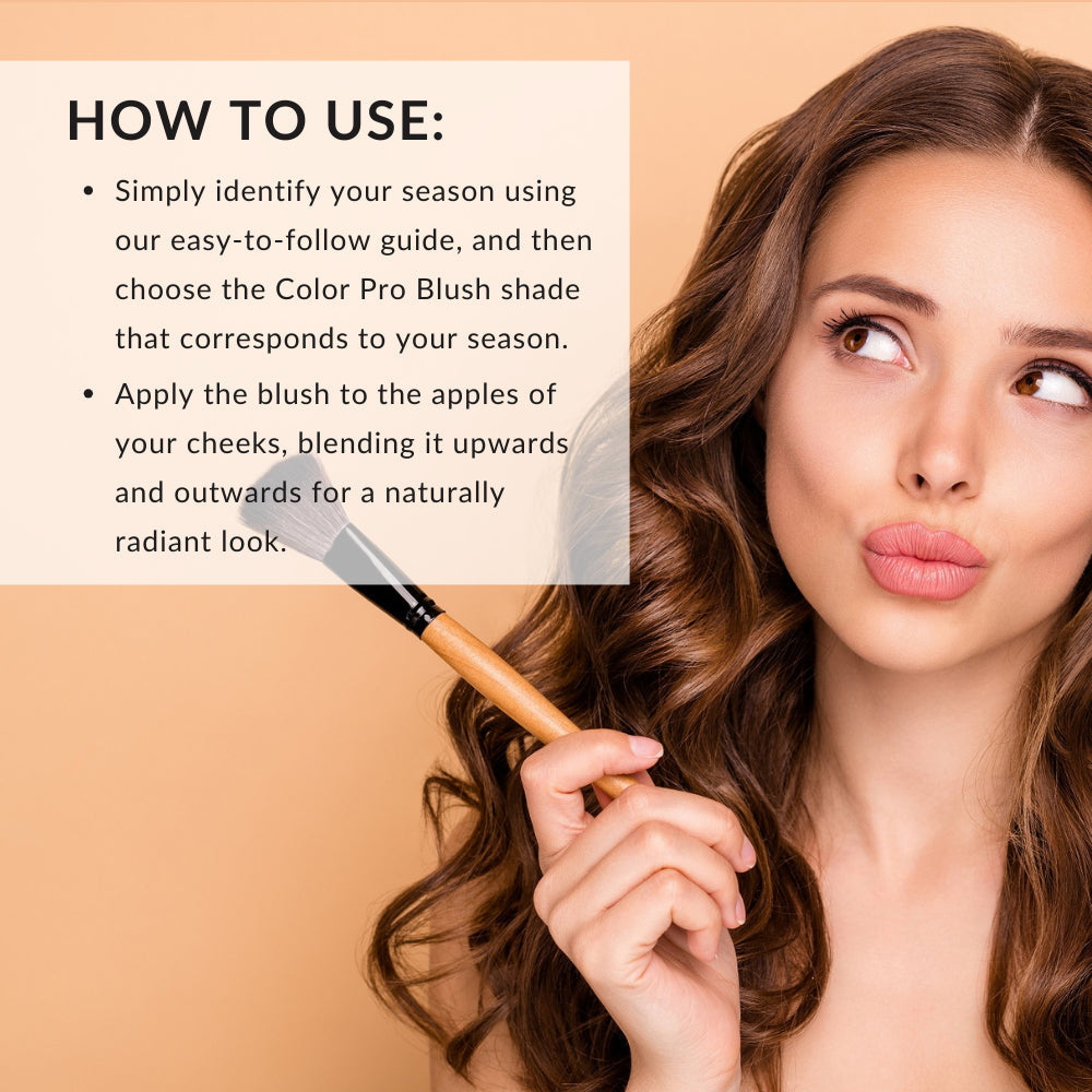 Color Pro Blush by Color Me Beautiful