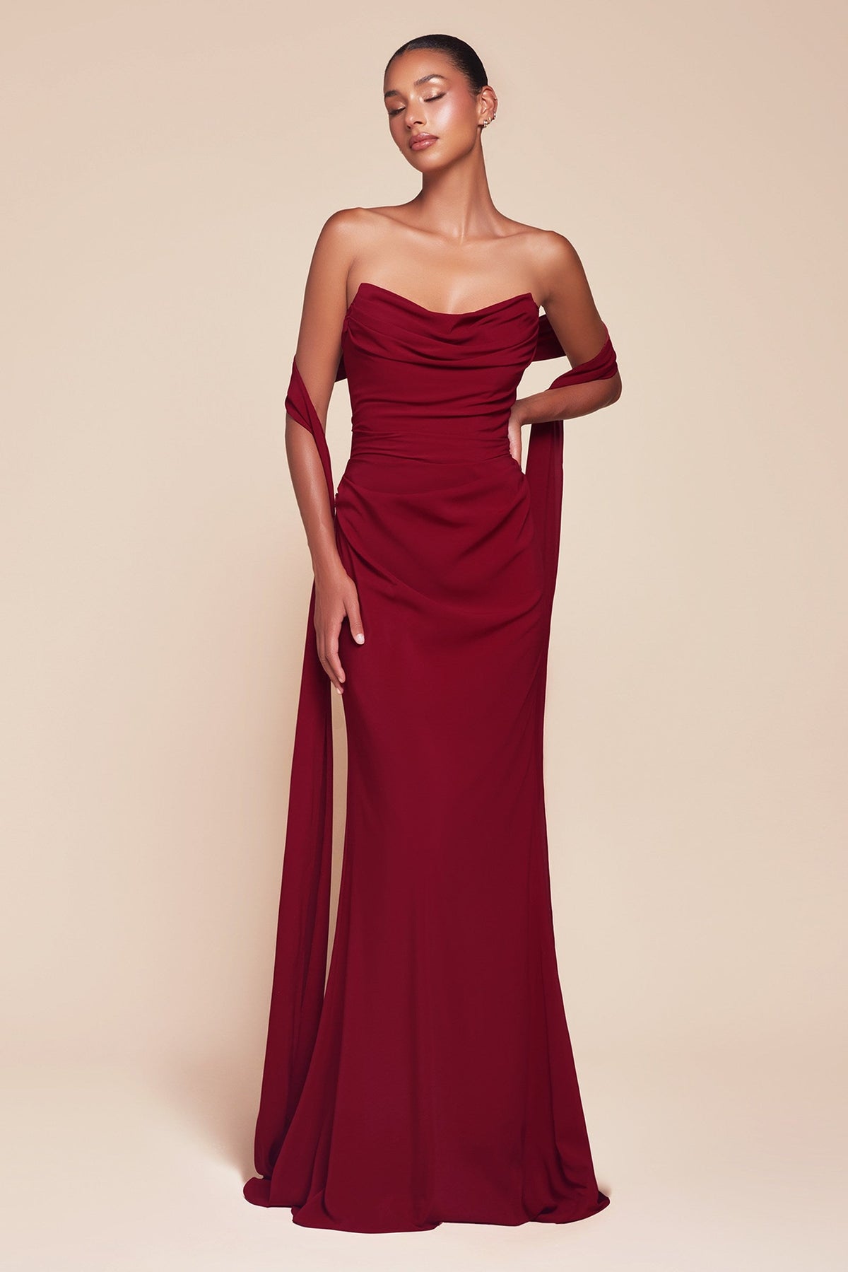 Ladi Vine Dress Versatile Soft Chiffon Strapless Dress