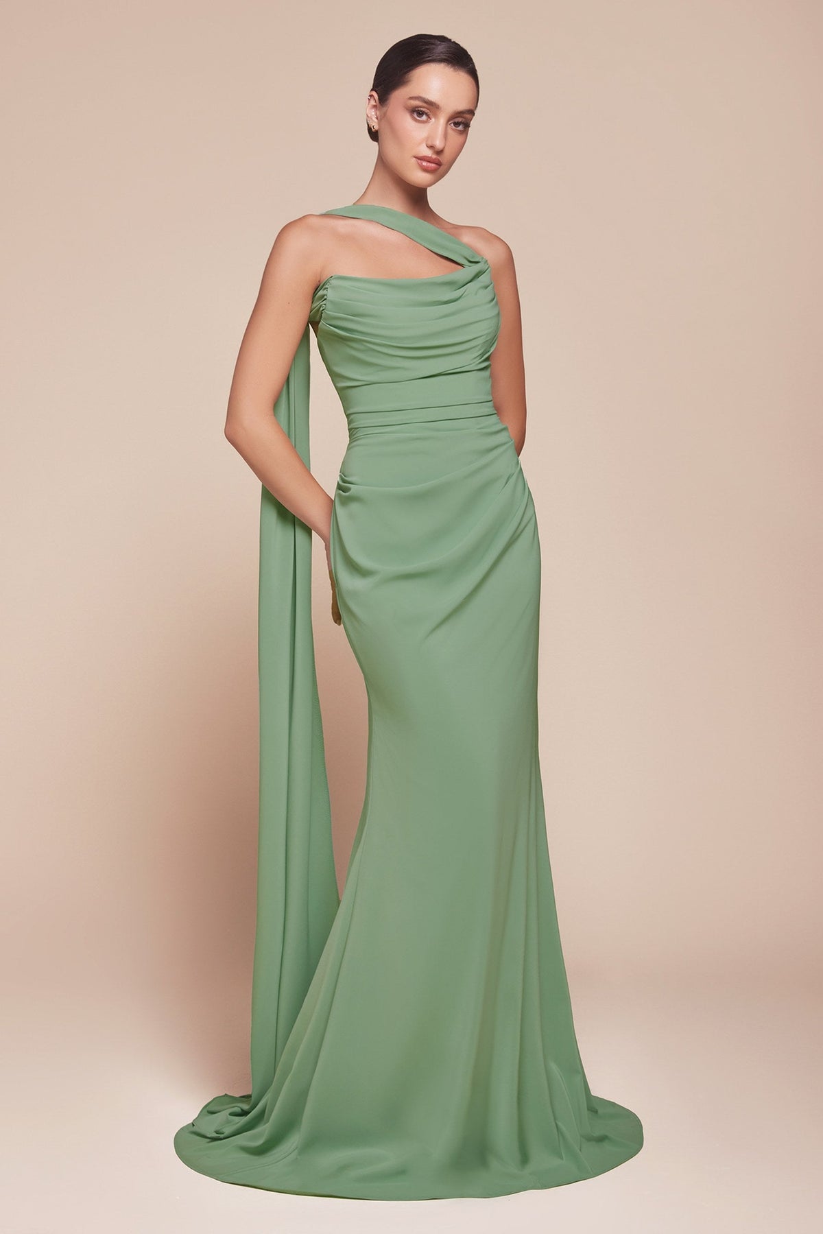 Ladi Vine Dress Versatile Soft Chiffon Strapless Dress