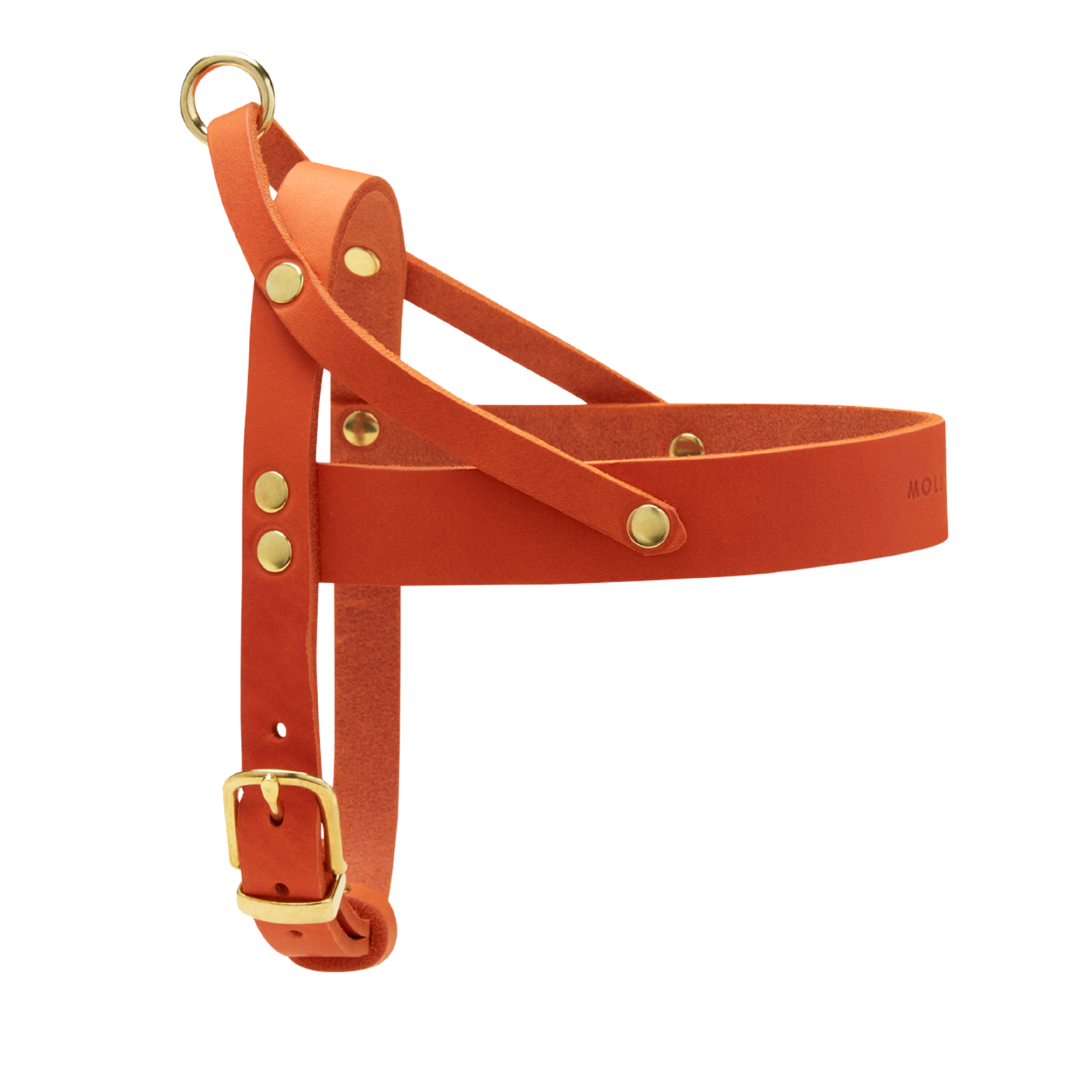 Butter Leather Dog Harness - Mango by Molly And Stitch US