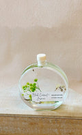 Handmade 100ml Reed Diffuser | Long-Lasting Botanical Home Fragrance