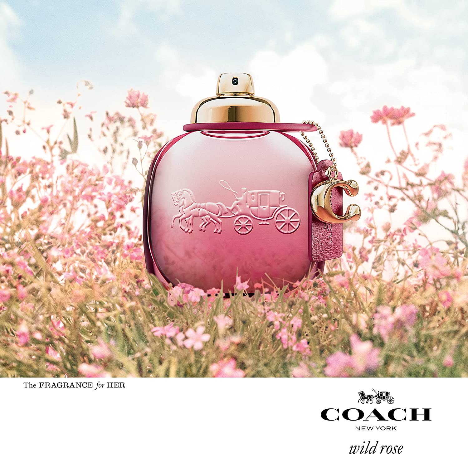 Coach Wild Rose 3.0 oz EDP for women by LaBellePerfumes