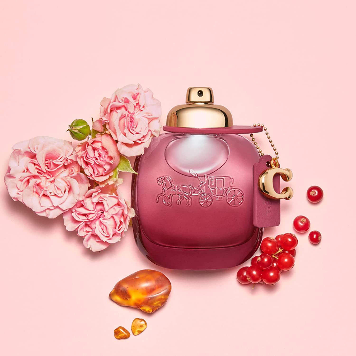 Coach Wild Rose 3.0 oz EDP for women by LaBellePerfumes