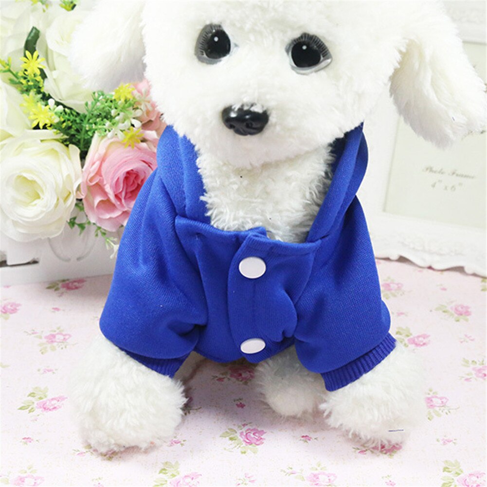 Cartoon Hoodie Sweater - Furr Baby Gifts
