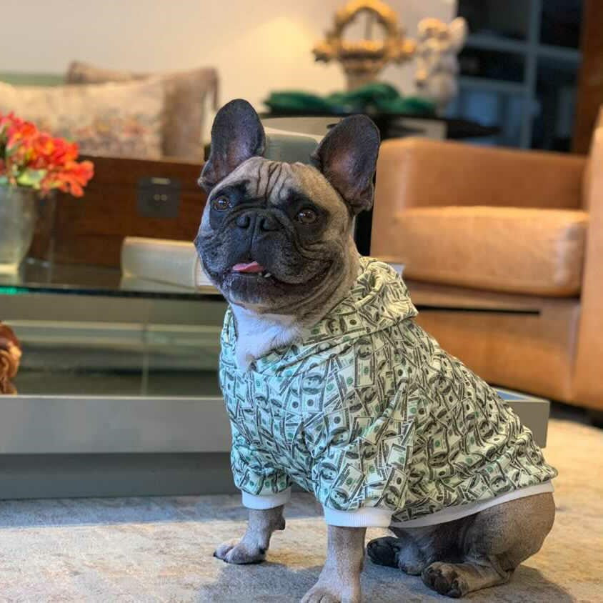 Money Print Dog Hoodie - Furr Baby Gifts