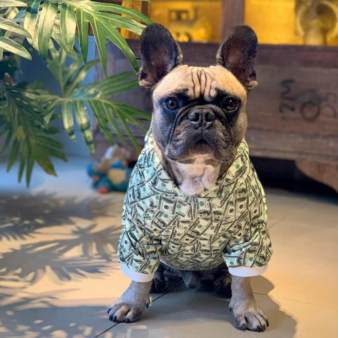 Money Print Dog Hoodie - Furr Baby Gifts