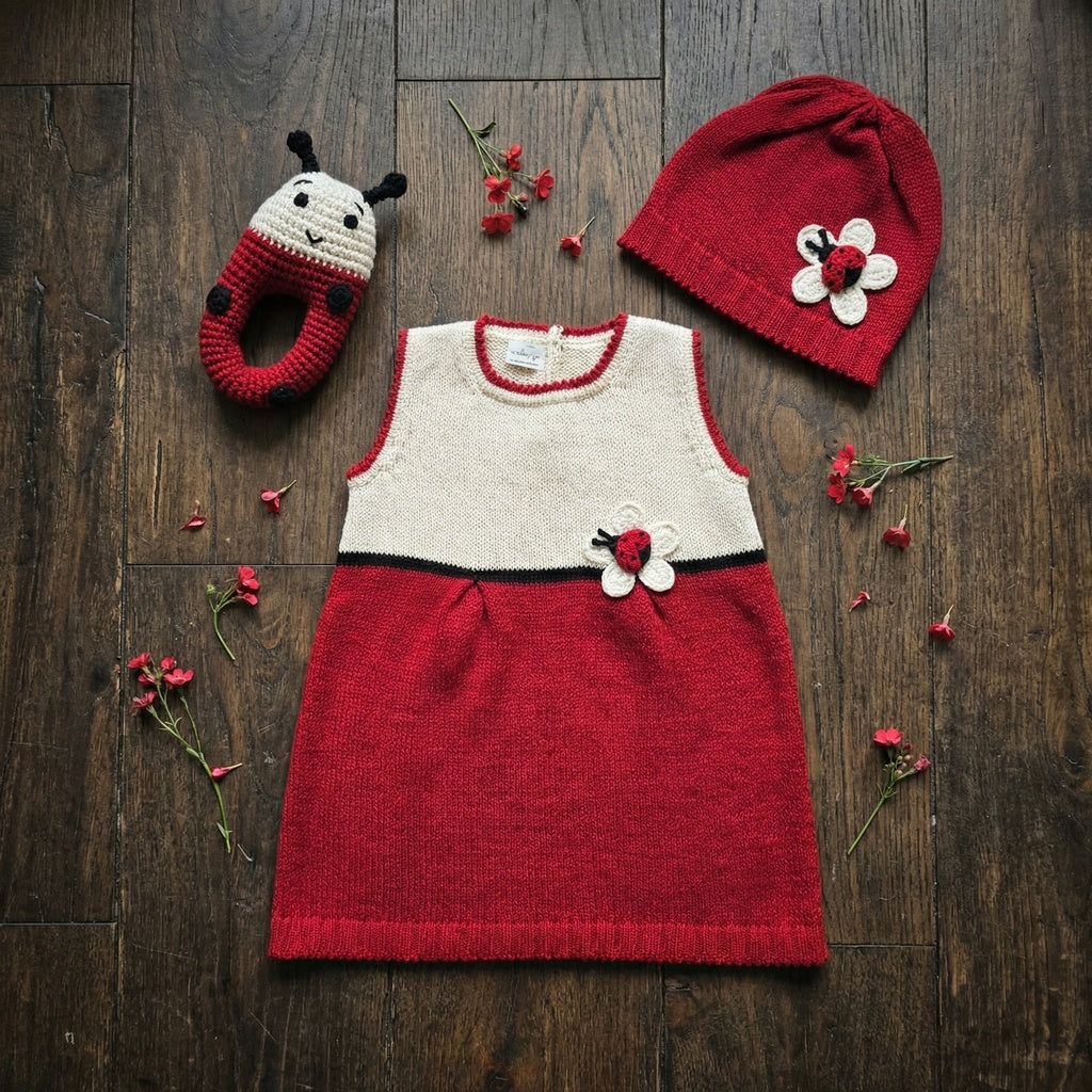 Ladybug Dress