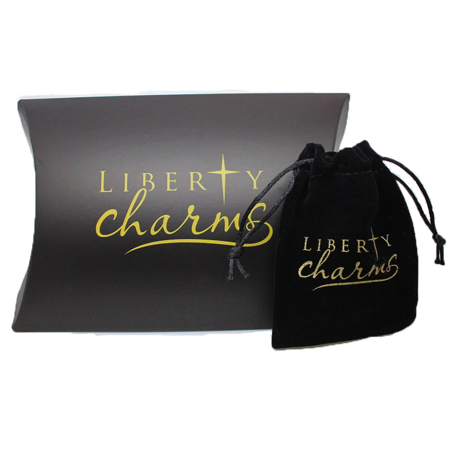 Set of 5 Silver Plated Fantasy Themed Charms and Beads by Liberty Charms USA