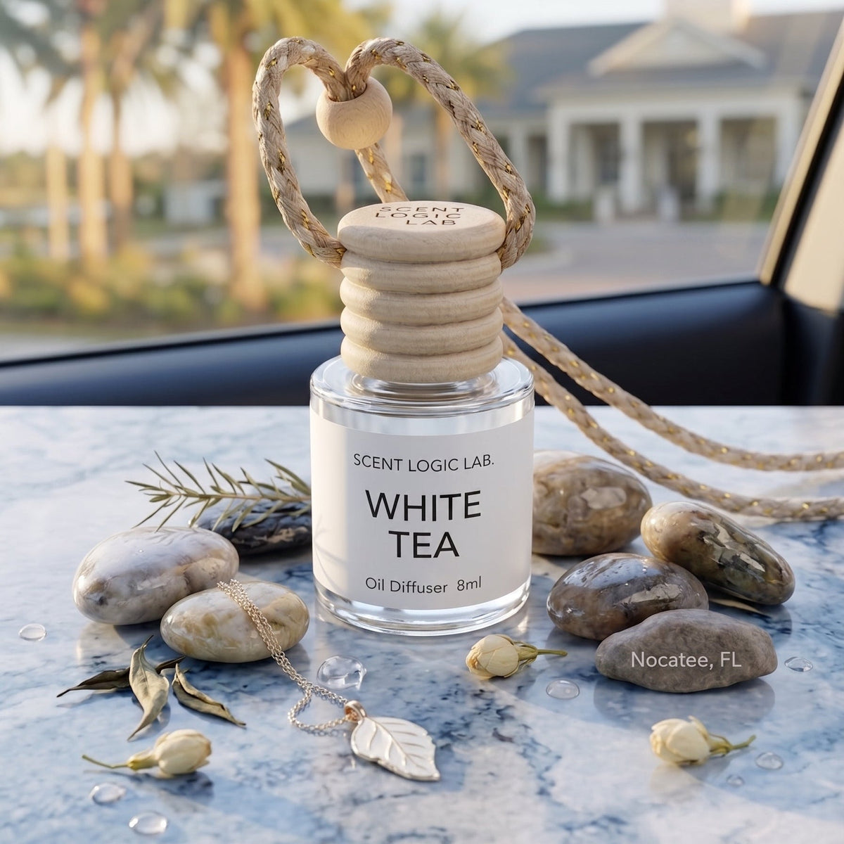 Luxury 8ml Car Diffuser in Nature Scents