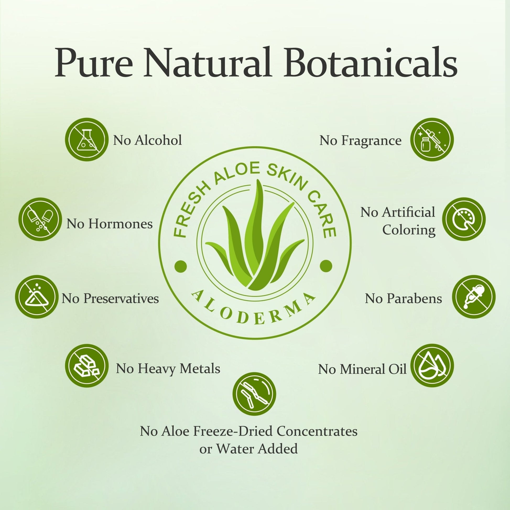 ALODERMA Pure Aloe Vera Gel + Tea Tree Oil - AloeCure
