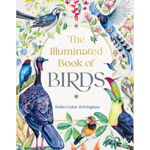 The Illuminated Book of Birds - Hardcover