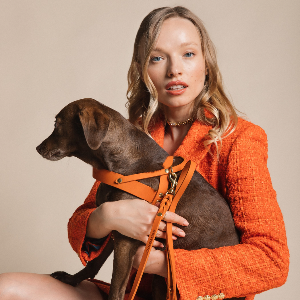 Butter Leather Dog Harness - Mango by Molly And Stitch US