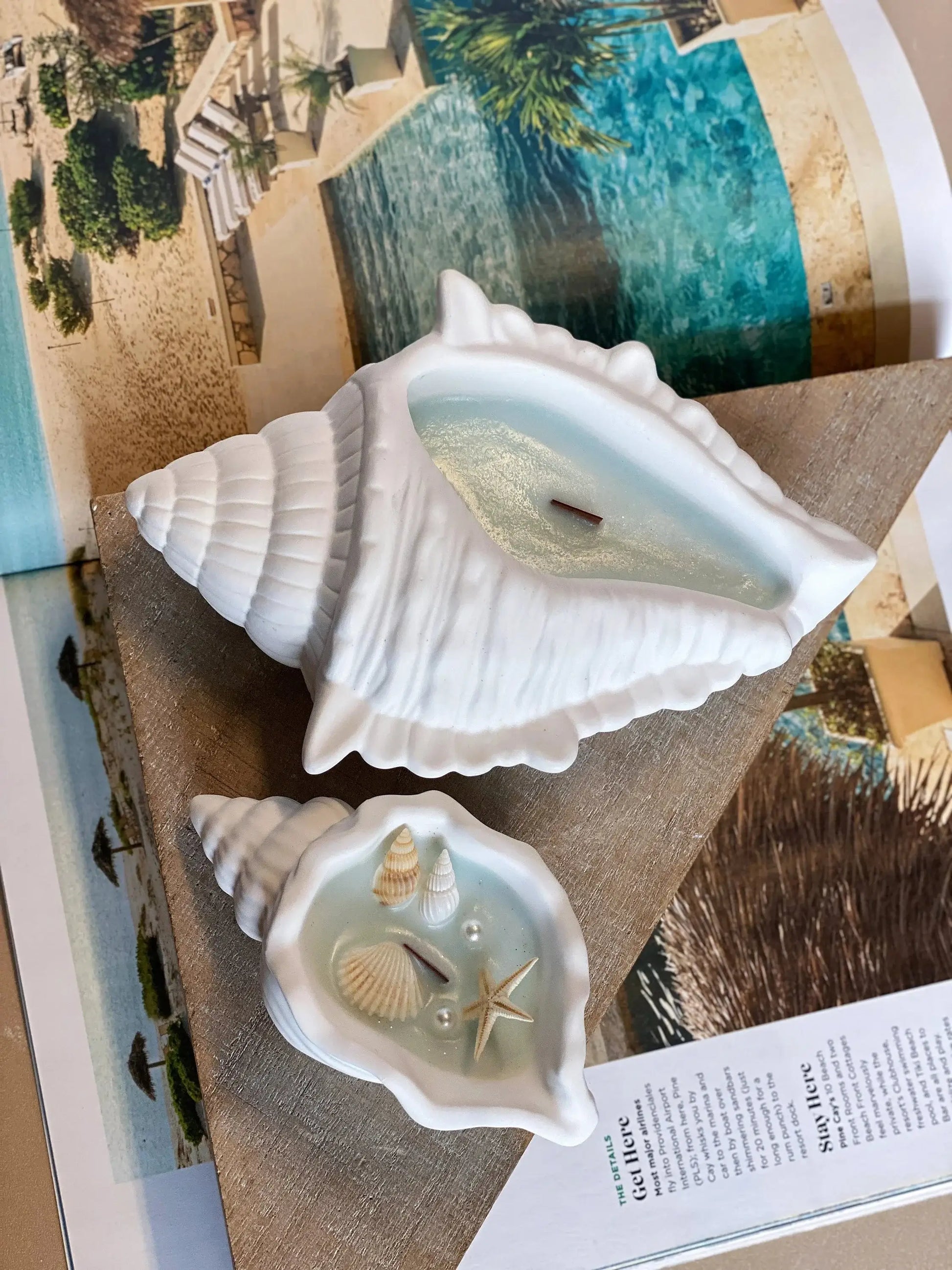 Sea Shell Candle in Jesmonite | Coastal Decor